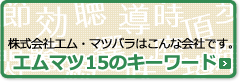 エムマツ15のキーワード